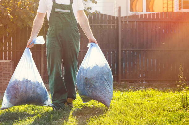 Best Electronics Removal Services  in Mason Neck, VA